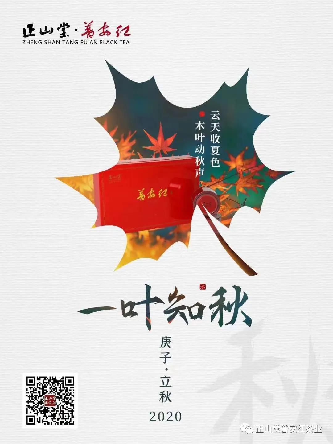 一叶知秋