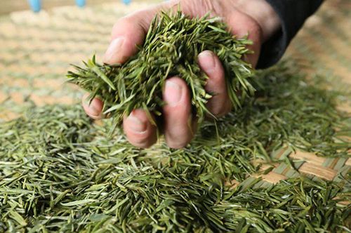 贵州哪里的茶好喝？