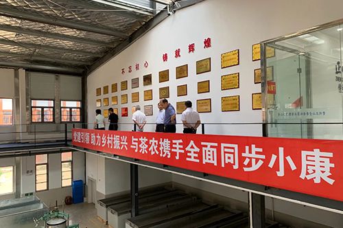 省政协副主席罗宁一行莅临正山堂普安红公司考察调研