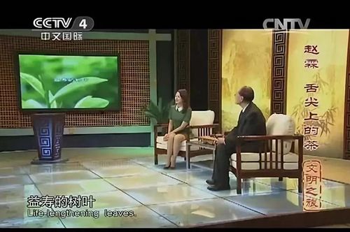 央视报道：茶叶是一种治病的树叶！