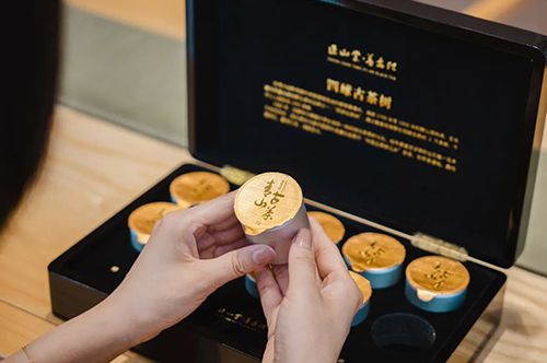 焕新上市 | 普安特产·青山古茶红茶