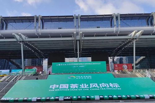 茗茶飘香 相聚鹏城 | 正山堂·普安红斩获“中茶杯”第十二届...