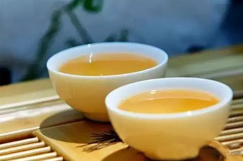 正山堂·普安红 | “品味千年茶韵·臻享普安醇香”青山古树品...