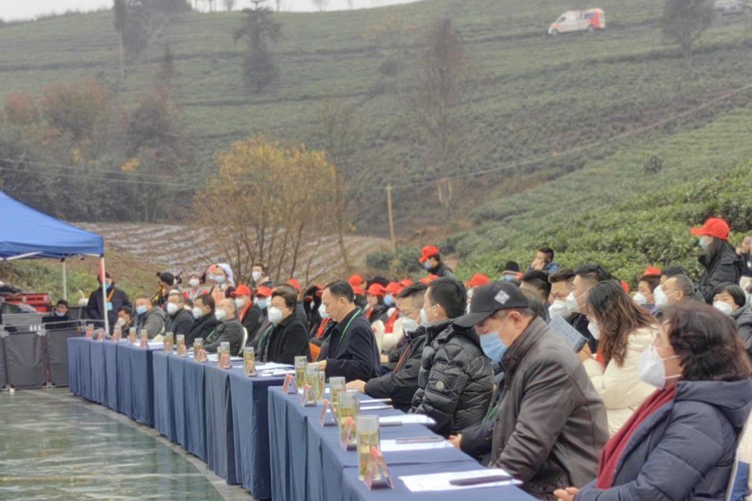 2023年&ldquo;贵州绿茶&rdquo;第一采暨&ldquo;普安红&rdquo;全国经销商大会系列活...