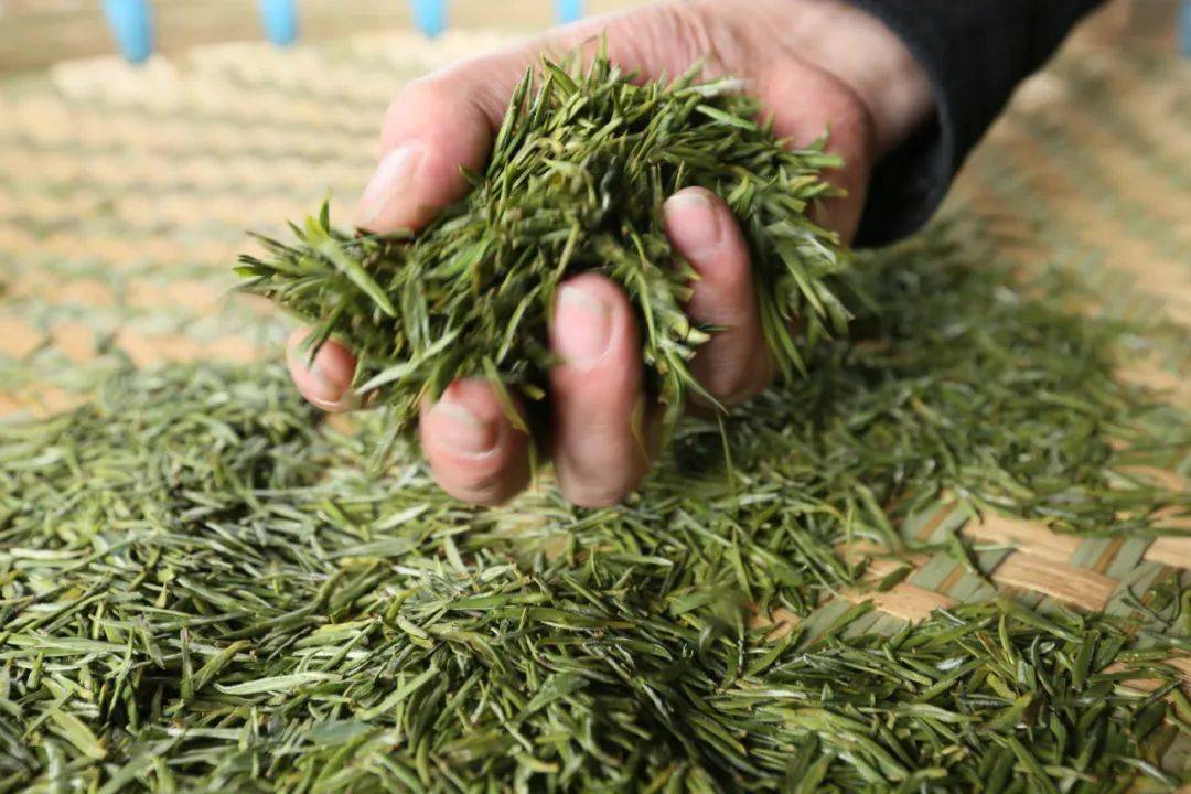 贵州茶叶公司